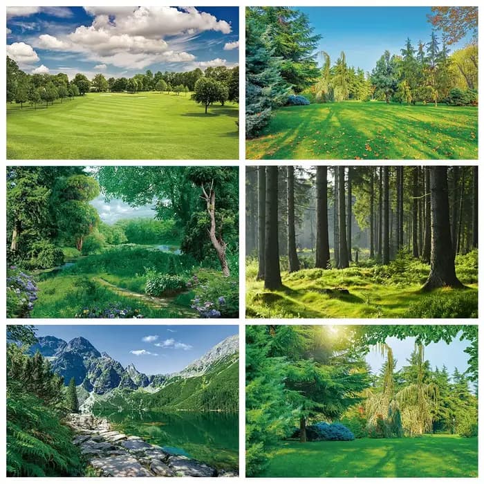 Nature vert forêt herbe photographie toile de fond printemps été parc paysage maison jardin fête décoration bannière PhotpStudio accessoire