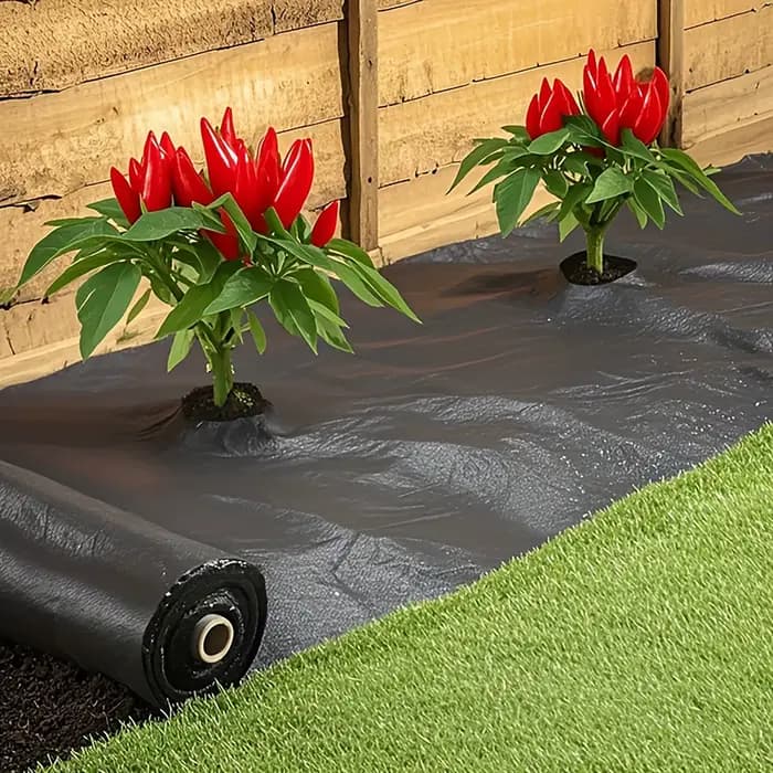 Tissu de contrôle des mauvaises herbes noir avec trous de plantation