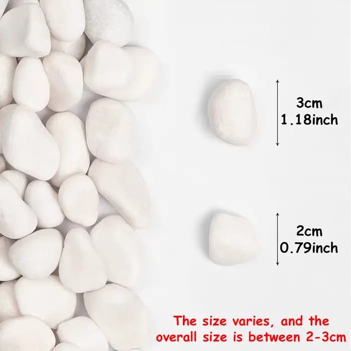 400g de galets de rivière naturels blancs polis de 2-3 cm - Pierres décoratives pour jardinières