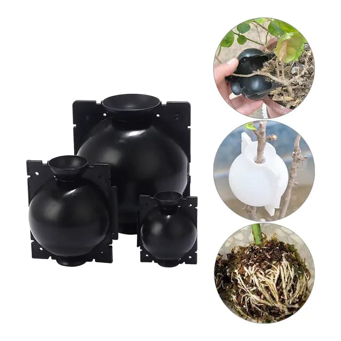 Dispositif Ro18e pour plante