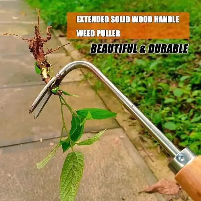 Extracteur de mauvaises herbes