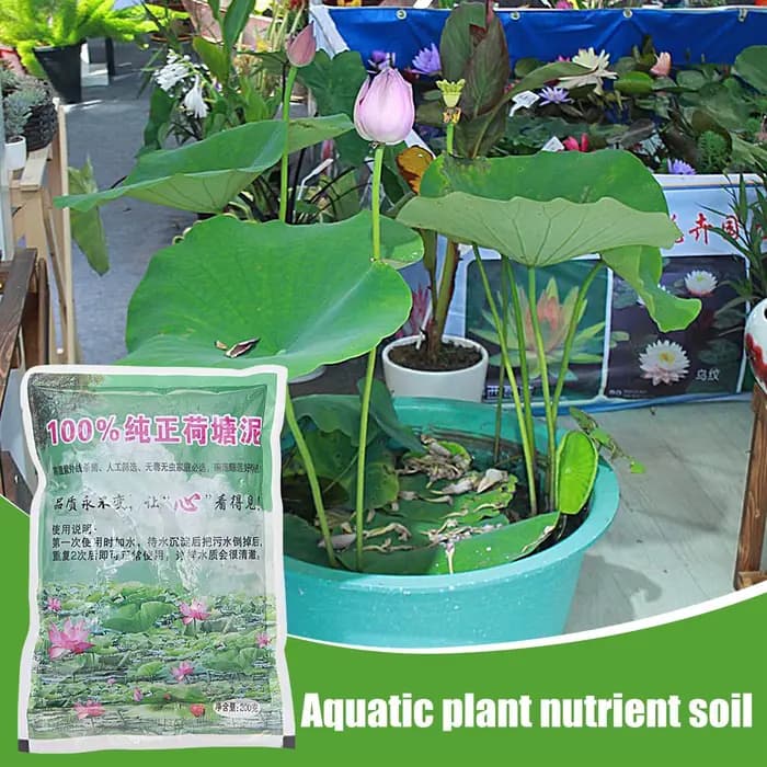 Argile nutritive pour bassin aquatique