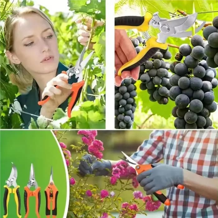Ensemble de ciseaux de jardin 3 pièces