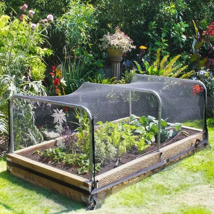 Filet d'arbres fruitiers noir réutilisable 4x5m/ 5x20m