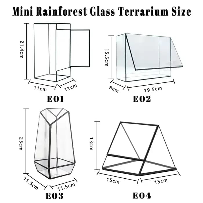 Mini terrarium écologique en verre pour forêt tropicale, mousse et fougères, carré, géométrique, miniatures, vase à plantes, conteneur, serre de table