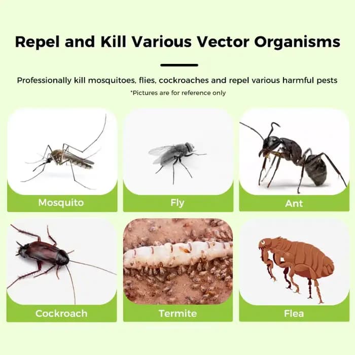 Imidaclopride 20% SC, produits anti-termites non répulsifs