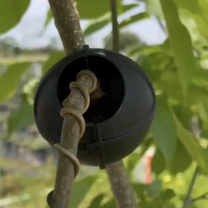 Boîte de greffage et de bouturage réutilisable pour plantes de jardin et verger