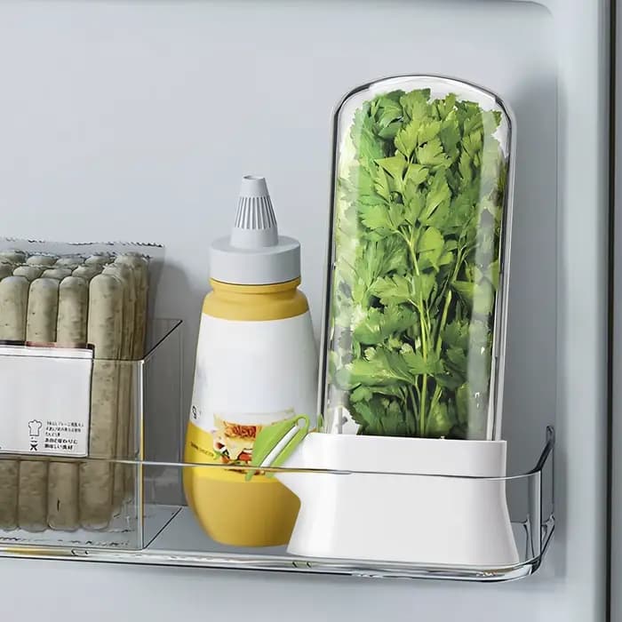 Économiseur d'herbes pour réfrigérateur
