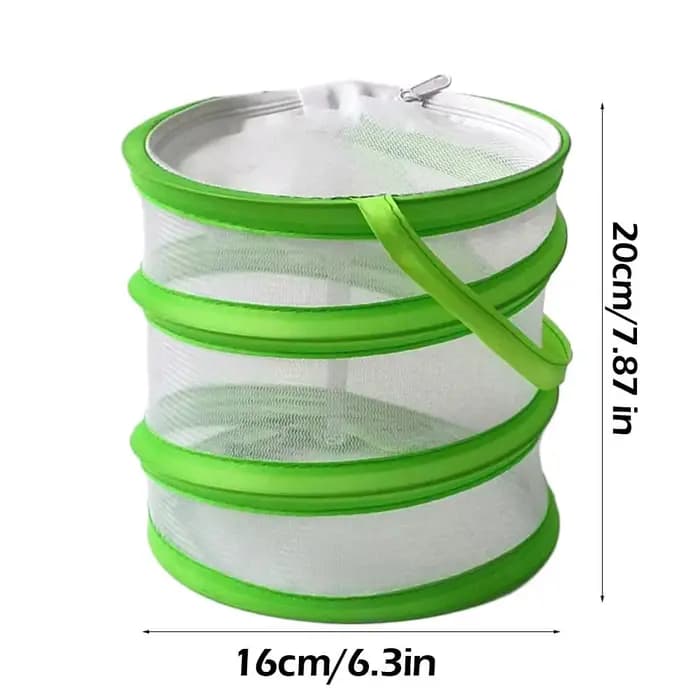 Cage à insectes pliable pour l'observation des chenilles et des papillons