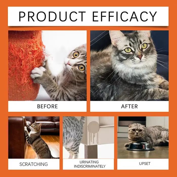 Spray répulsif pour chat
