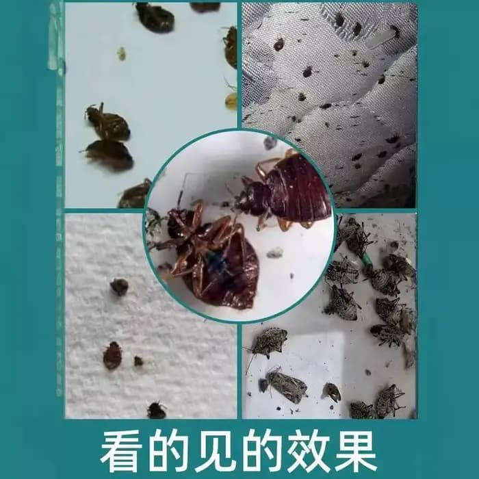 Insecticide anti-sucettes 20G