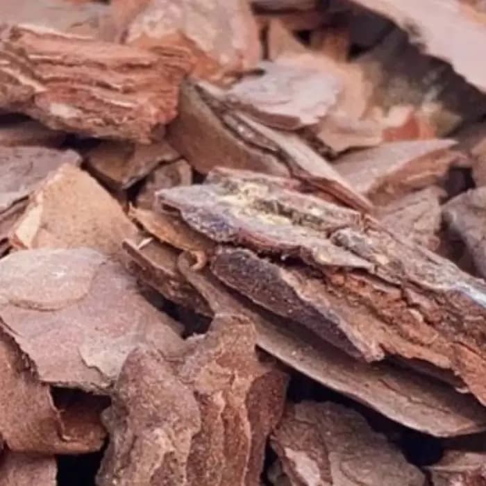 Substrat de culture en écorce de pin fermentée naturelle