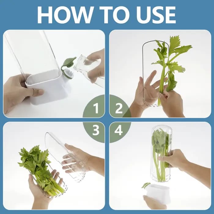 Économiseur d'herbes pour réfrigérateur