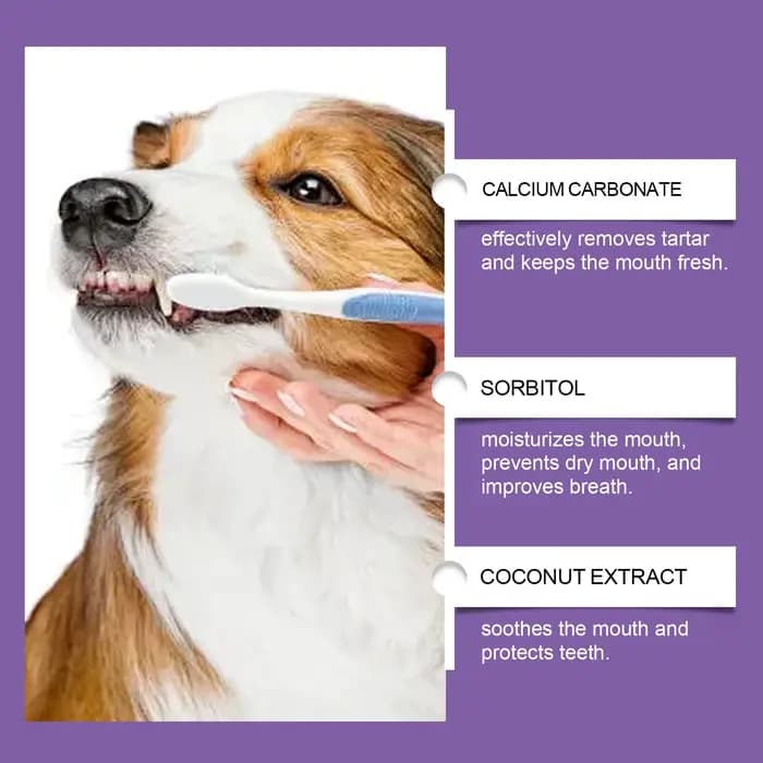 Dentifrice probiotique pour animaux de compagnie : élimine la plaque dentaire, rafraîchit l'haleine, nettoyage doux des dents et soins buccaux, aiguisé par tous les animaux domestiques