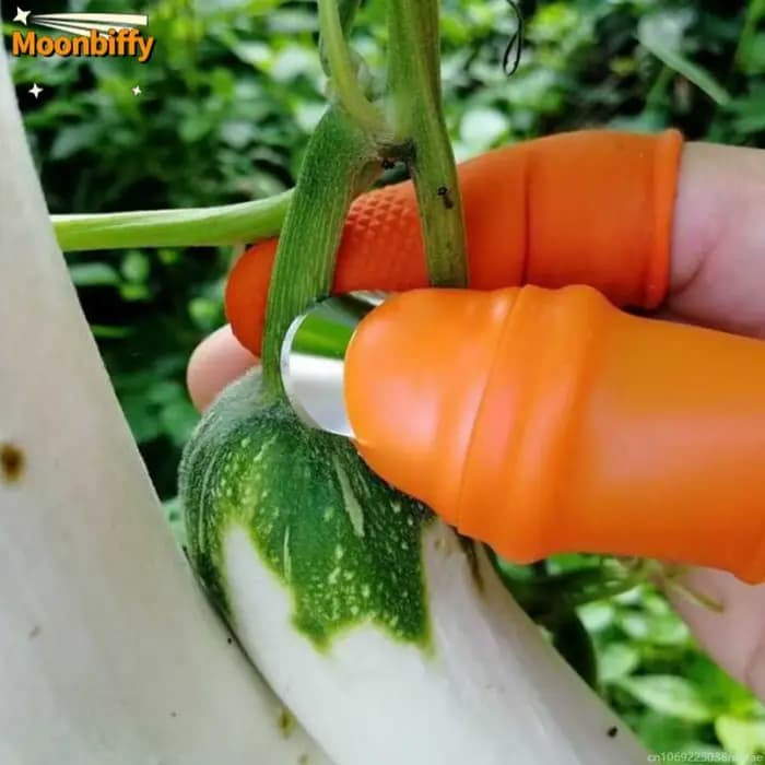 Patch de fruits et légumes de ferme pour verger de jardin