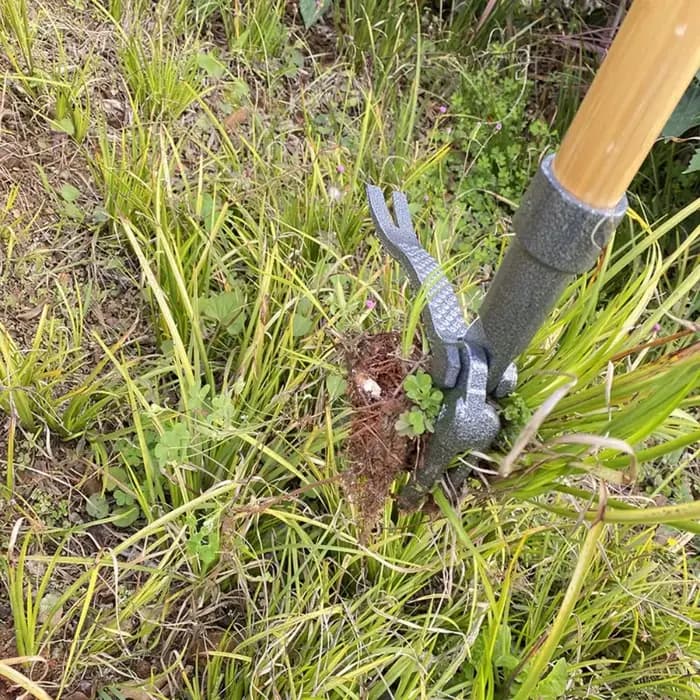 Outil de désherbage manuel robuste en acier à 4 griffes pour jardin