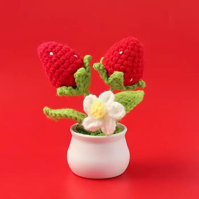Crochet fraise en Pot créatif tricot Pot de fleur fleurs