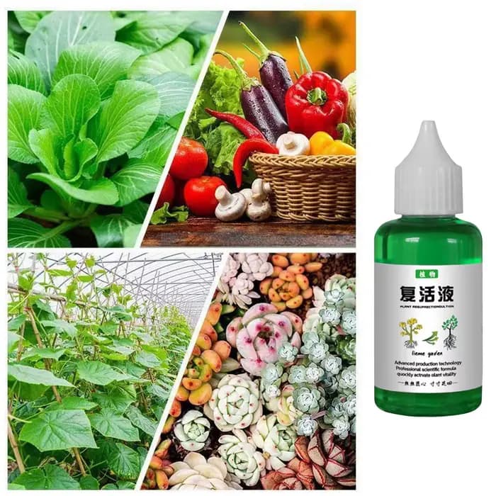 Liquide revitalisant pour plantes
