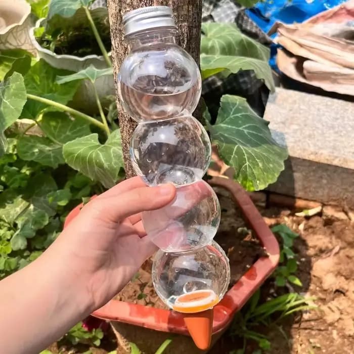 Dispositif d'arrosage automatique transparent en forme de gourde allongée