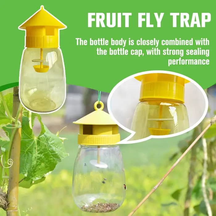 Piège à mouches en plastique pour fruits