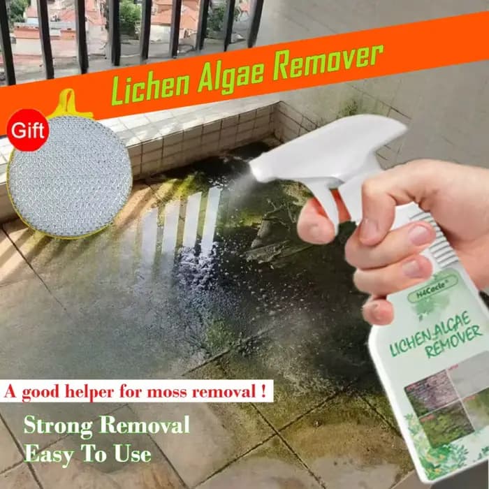 Spray pour éliminer les algues du mousse et du Lichen