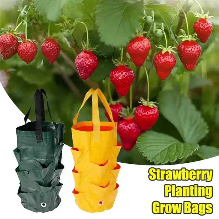 Sac de planteur de fleurs de pommes de terre