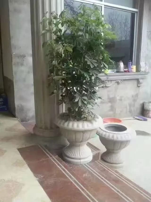 Pot de fleur en béton moulé en place