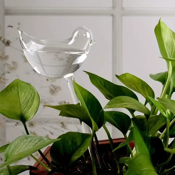 Globes d'arrosage automatique en forme d'oiseau