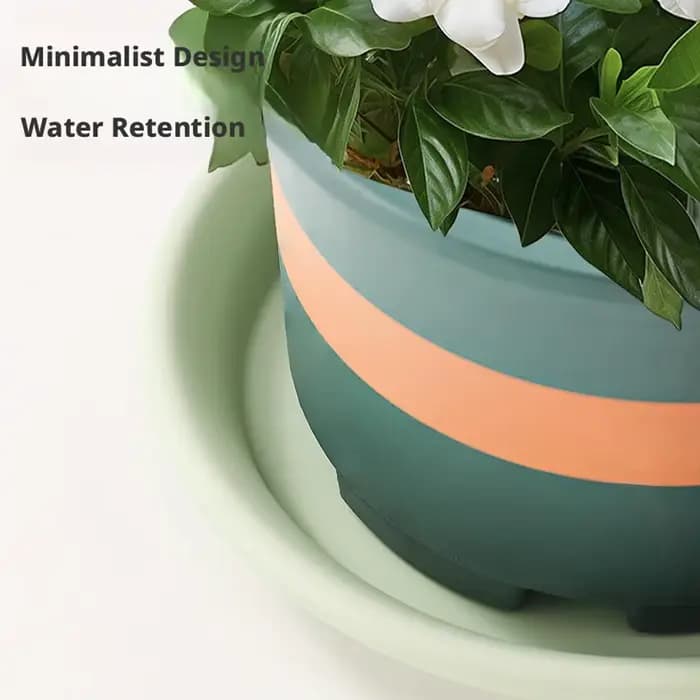 Soucoupe Ronde Épaissie pour Plantes