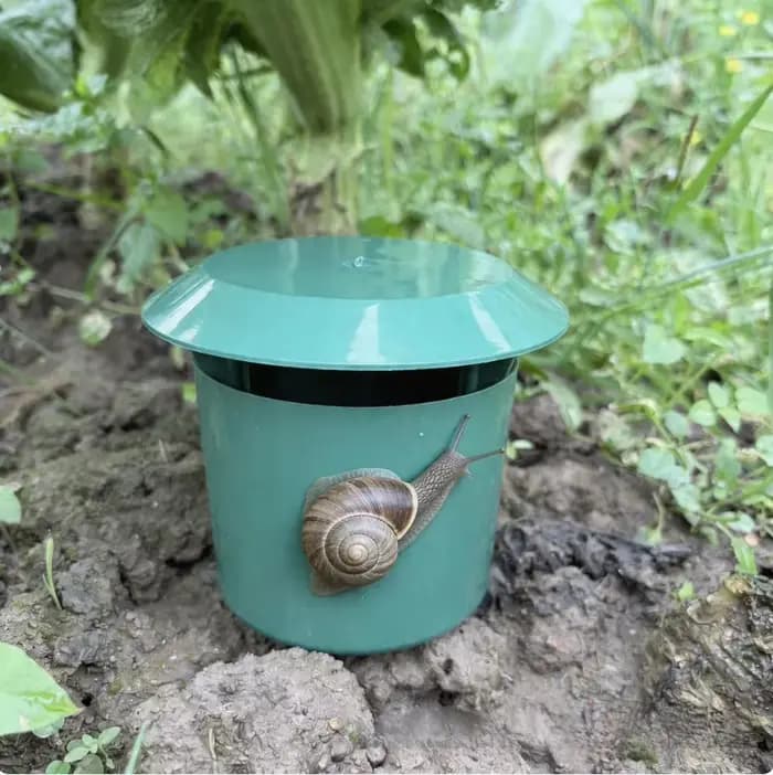 Piège à escargots en plastique