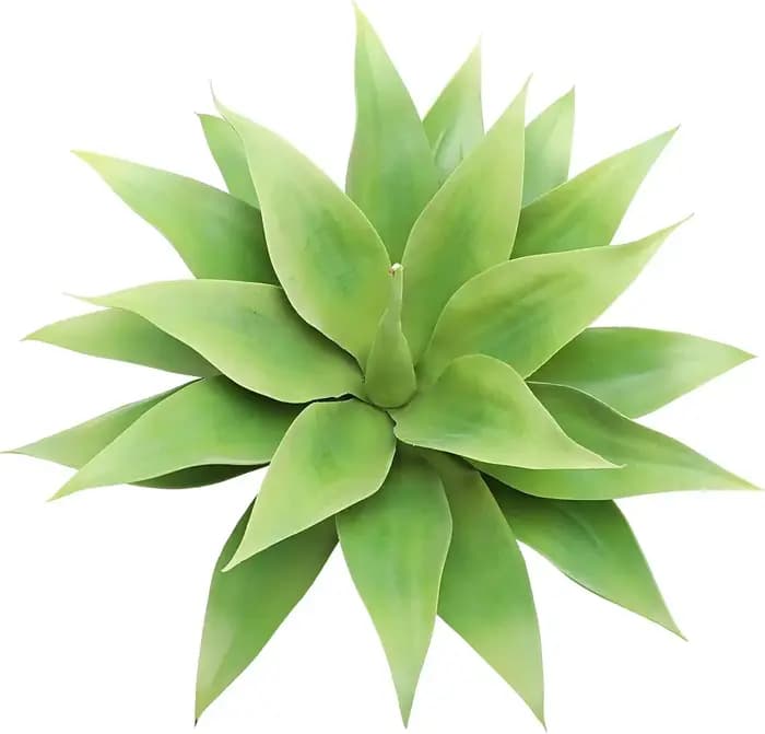 Plante succulente d'agave artificielle 18 amaran