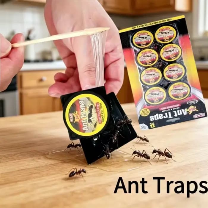 Pièges à fourmis efficaces 8/9 pièces pour intérieur et jardin – Contrôle des nuisibles – Boîte de capture adhésive