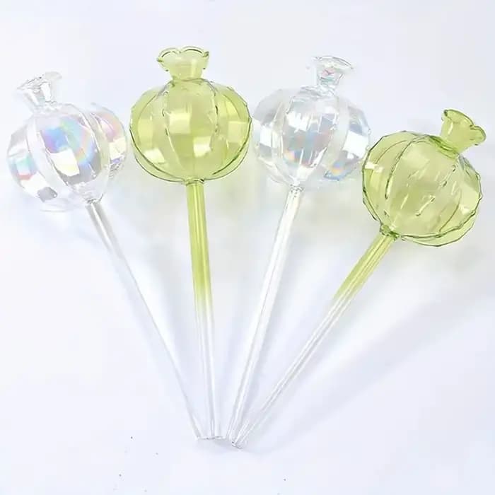 Cactus Cactus – Bulbes d'arrosage automatiques en verre pour plantes