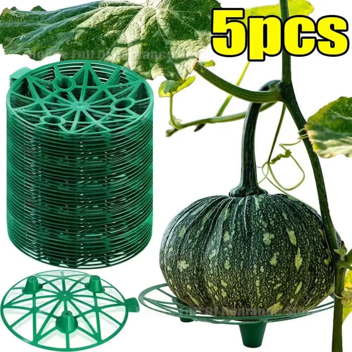 Supports de plantes pour melons