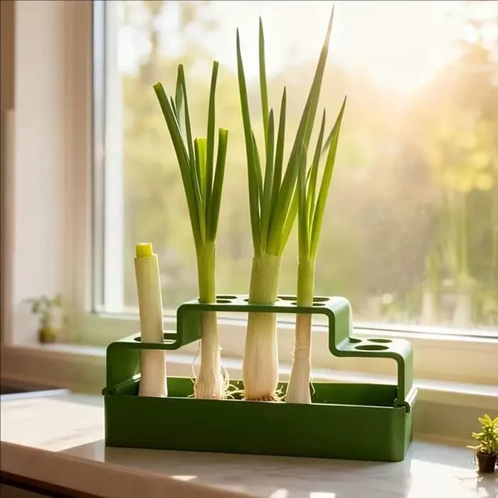 1 dispositif de plantation spécialement conçu pour les légumes