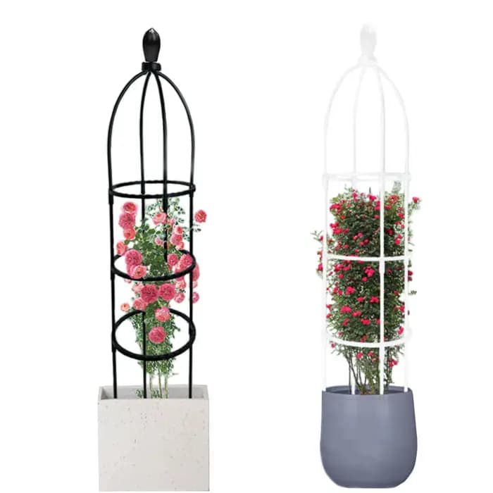Obélisque de jardin en treillis pour plantes grimpantes