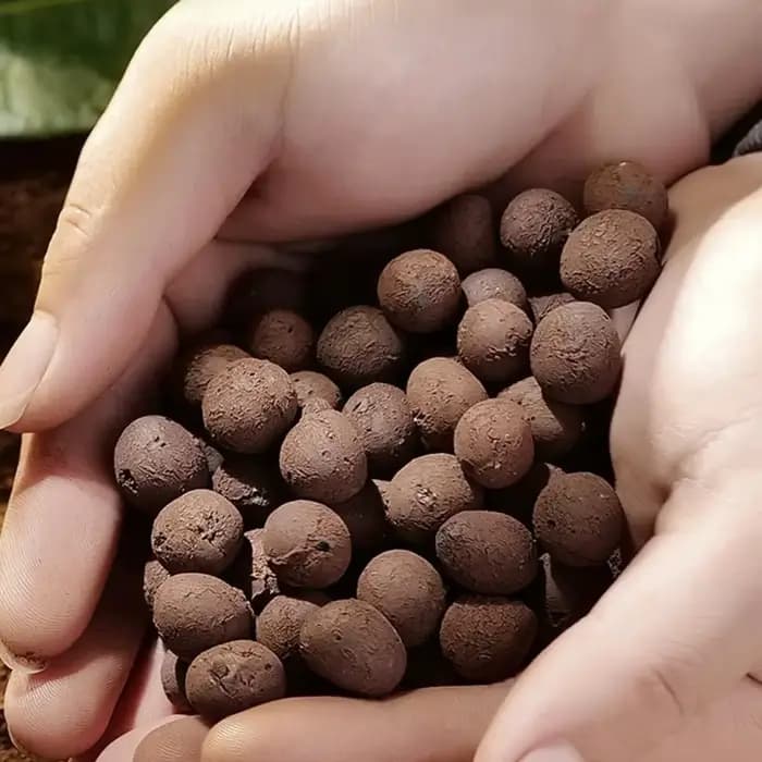 Leca IkClay Peays l pour plantes
