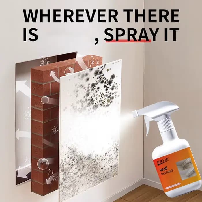 Spray dissolvant de moisissure