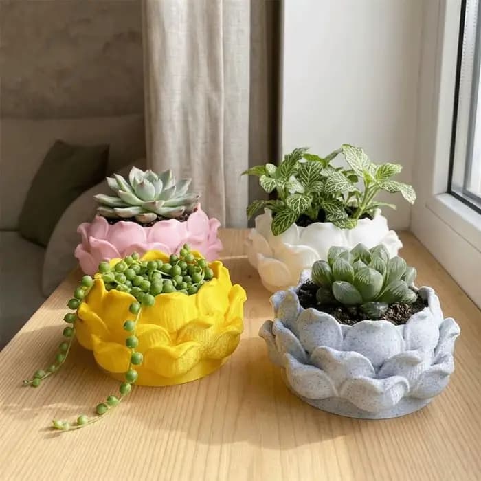 Pot de plante succulente en forme de lotus