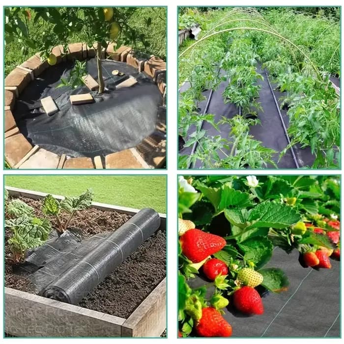 Utilisé pour le contrôle des mauvaises herbes