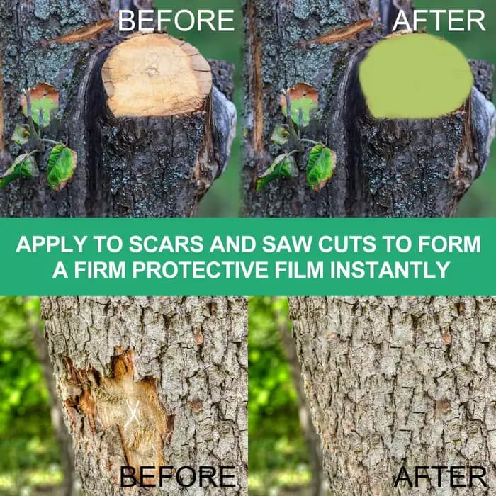 Pâte protectrice naturelle pour plaies d'arbres