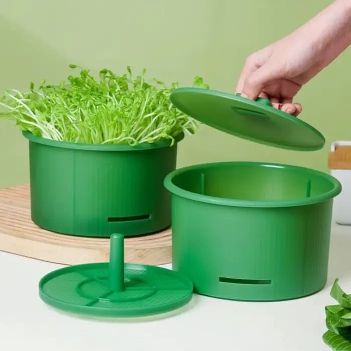 Pots de pépinière en plastique pour germes de haricots