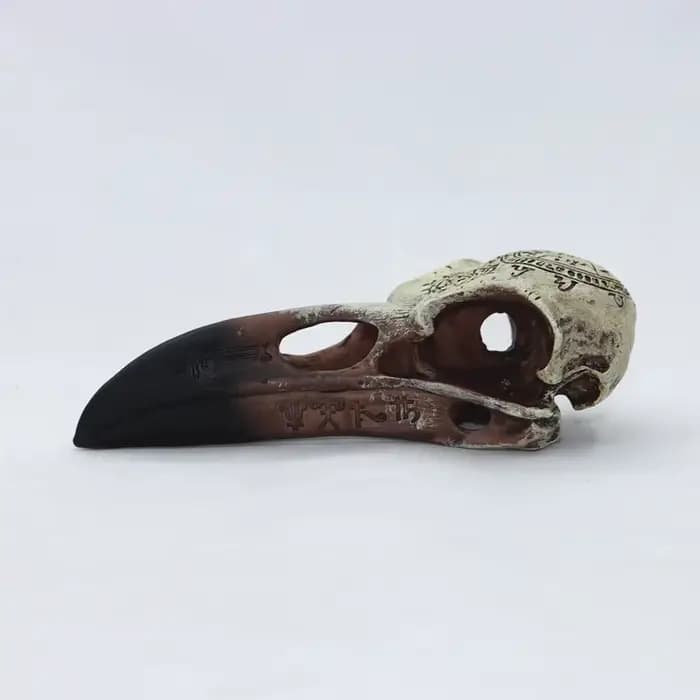 Crâne de Corbeau en Résine avec Runes Magiques Gothiques Sombres, Décoration Artistique pour la Maison, Cadeau.