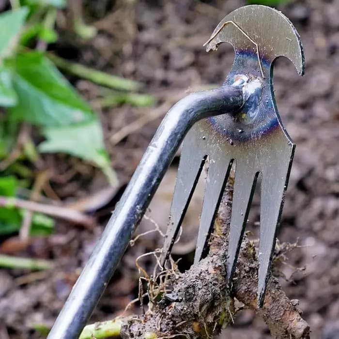 Désherbeur manuel multifonctionnel à 4 dents pour jardin