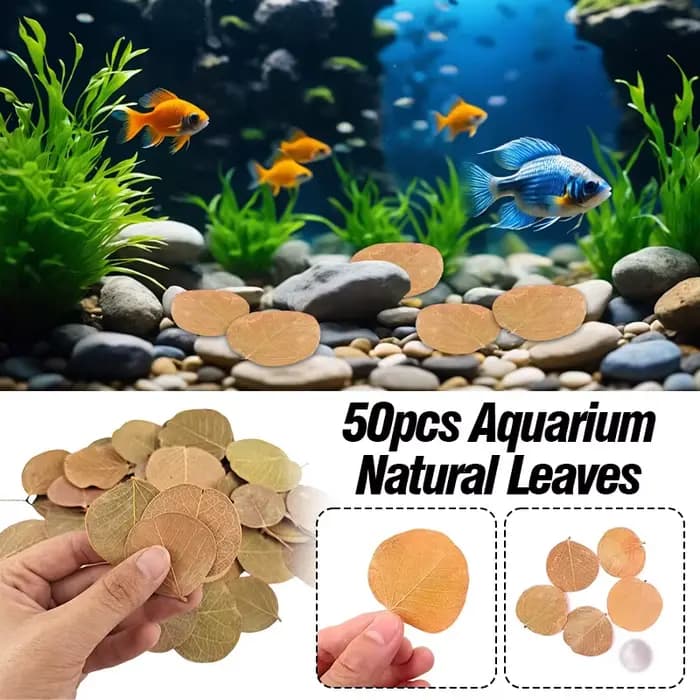 Filtre d'aquarium à feuilles naturelles