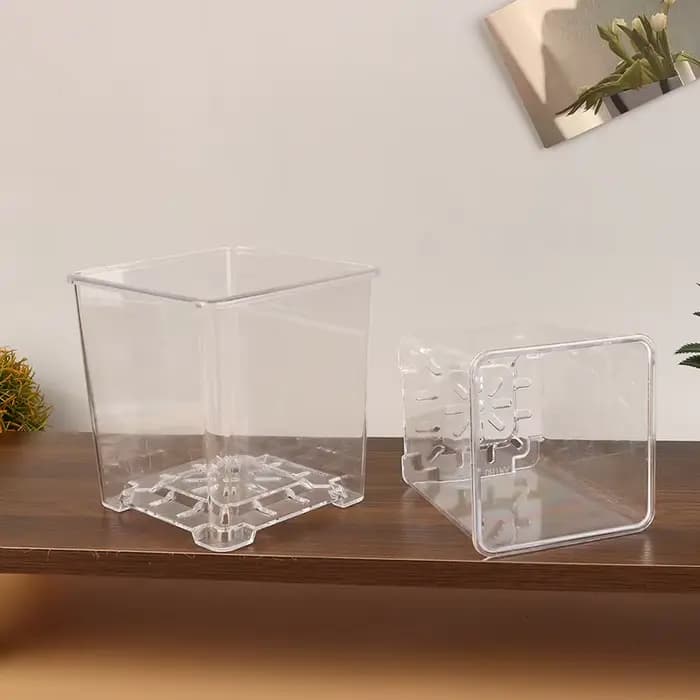 Pot de fleur transparent pour plantes