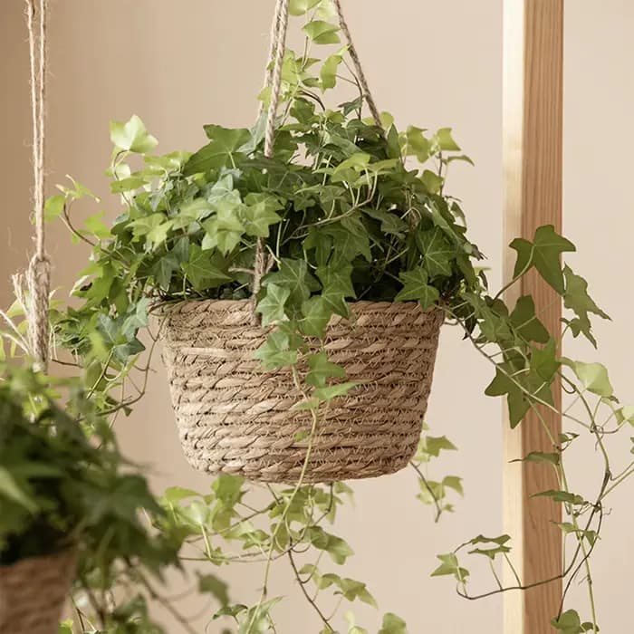 Jardinière suspendue de style rustique