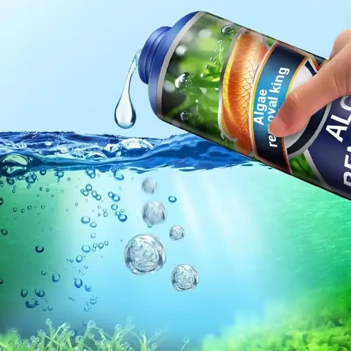 Dissolvant d'algues aquatiques pour aquarium