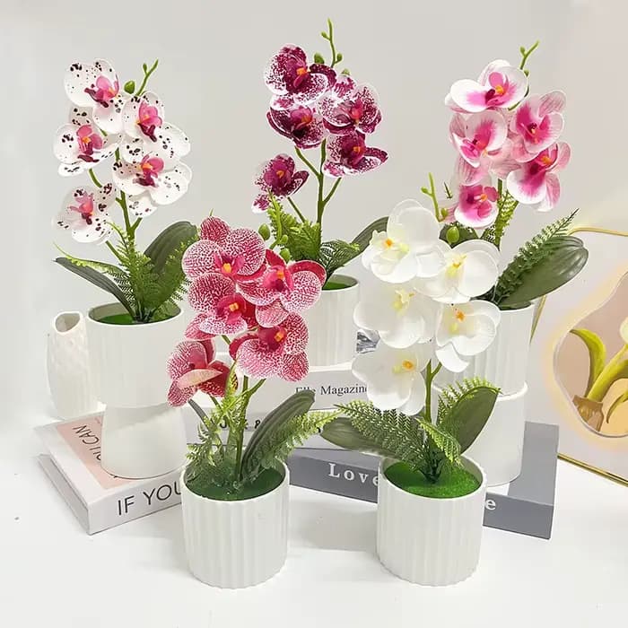 Pot vertical avec 5 orchidées papillon