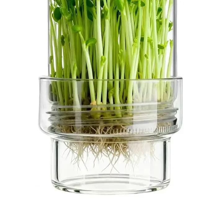 Kit de germination, ensemble de bocaux